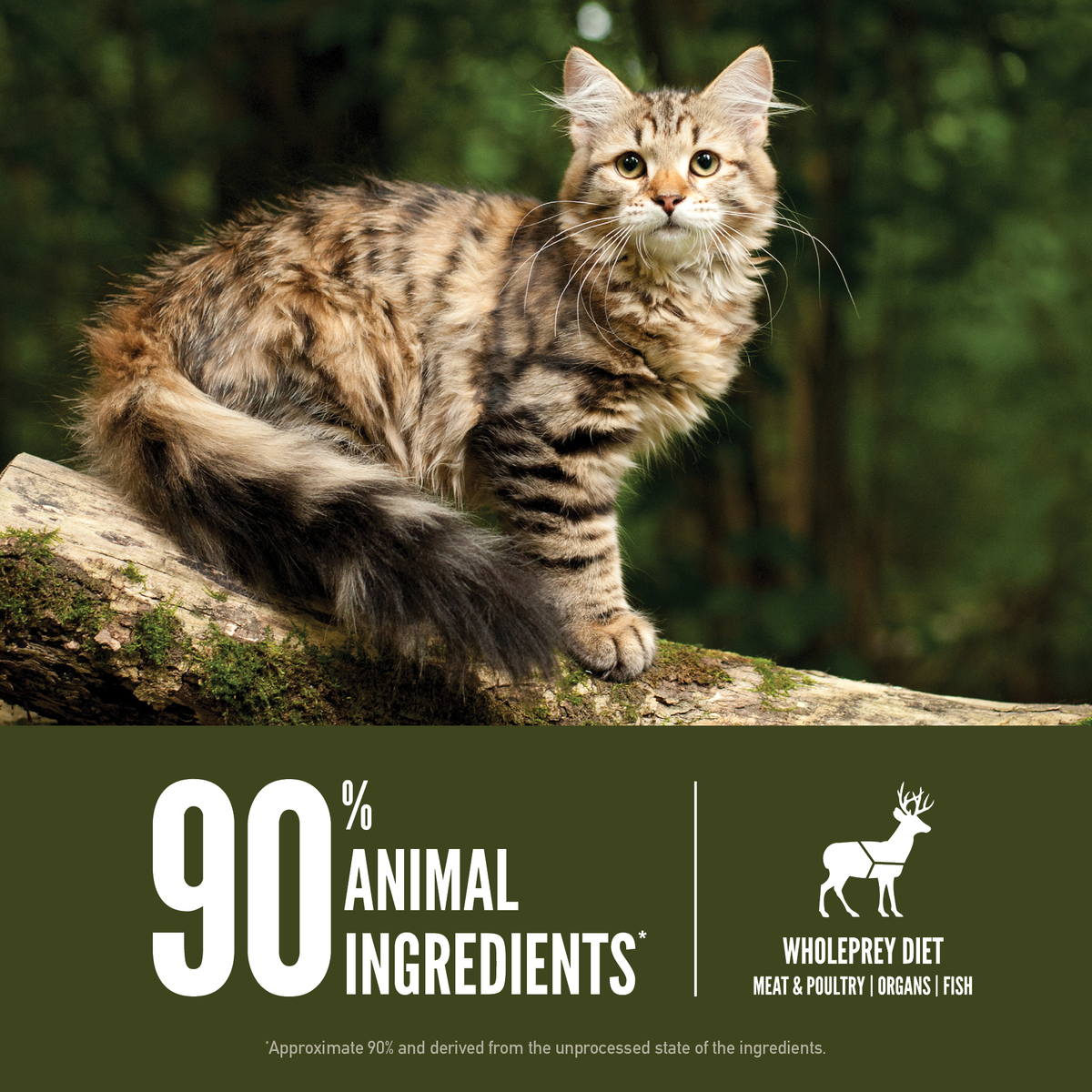 Tundra Duck Cat Food ORIJEN